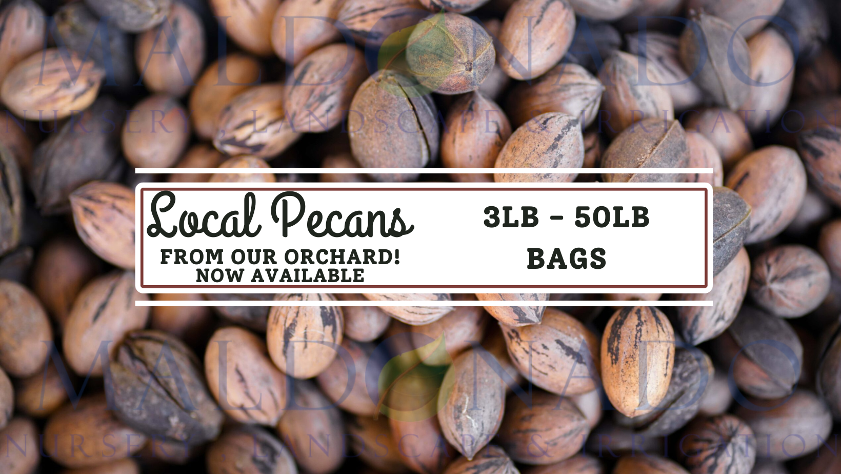 Wishing you a holiday season of joy and a New Year of endless possibilities. Merry Christmas and Happy New Year! (3)