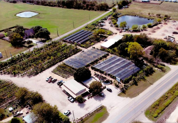 City Nursery Facilities